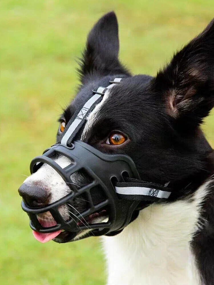 Reflect Muzzle Adjustable Dog Mouth Cover Black Size 4/6（Note size at checkout）
