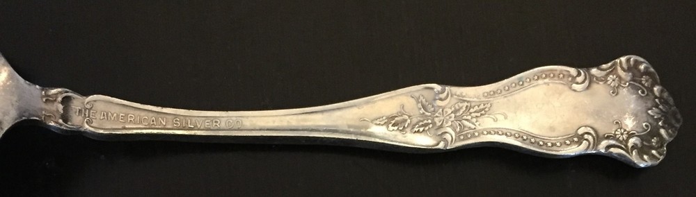 The American Silver Co. Silver "Germany" Tea Spoon (Sp 5)