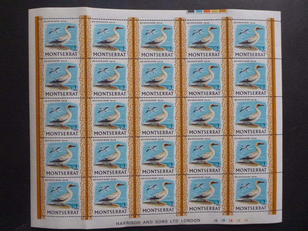MONSERRAT 1970 INDIGENOUS BIRDS 5X SHEETS OF MINT STAMPS