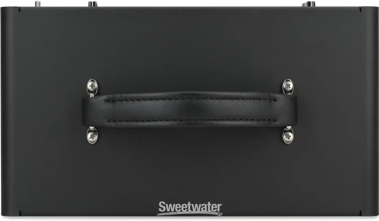 Synergy SYN-20IR 20-watt Amplifier Head - No Module Included