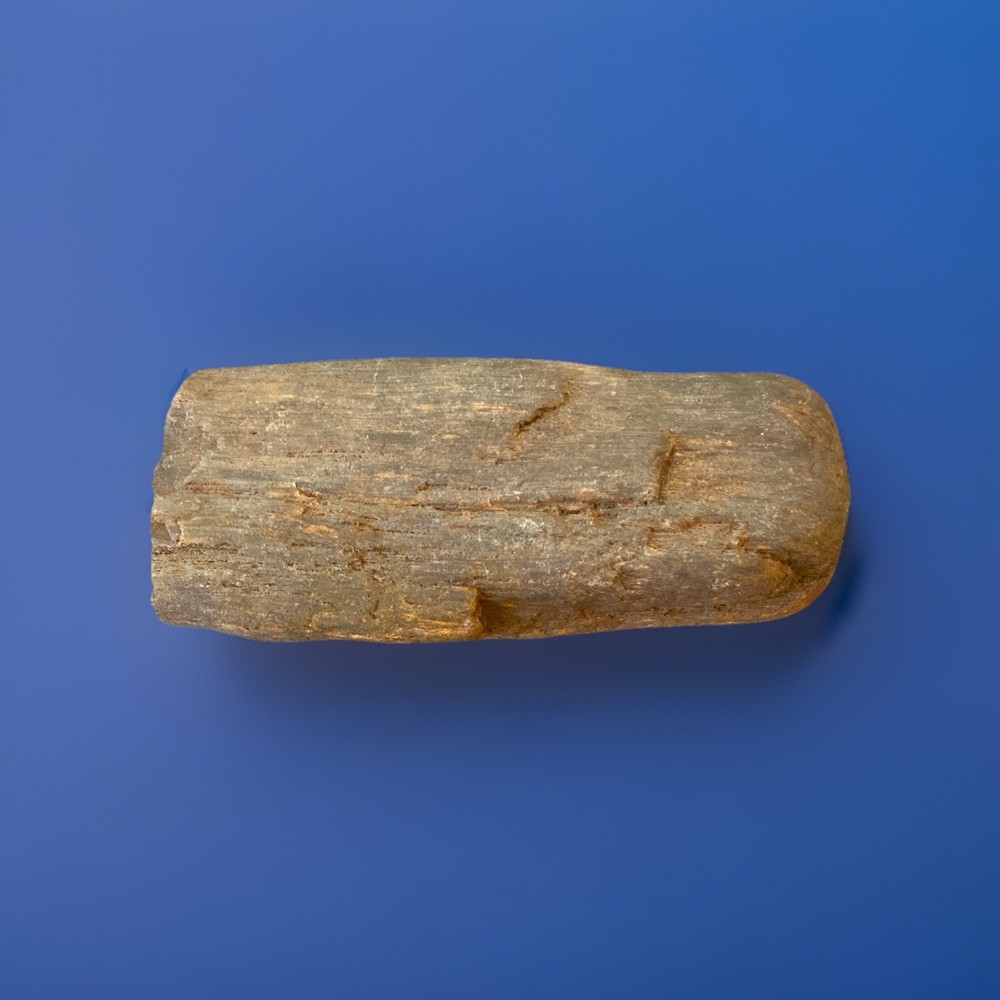 Petrified Wood