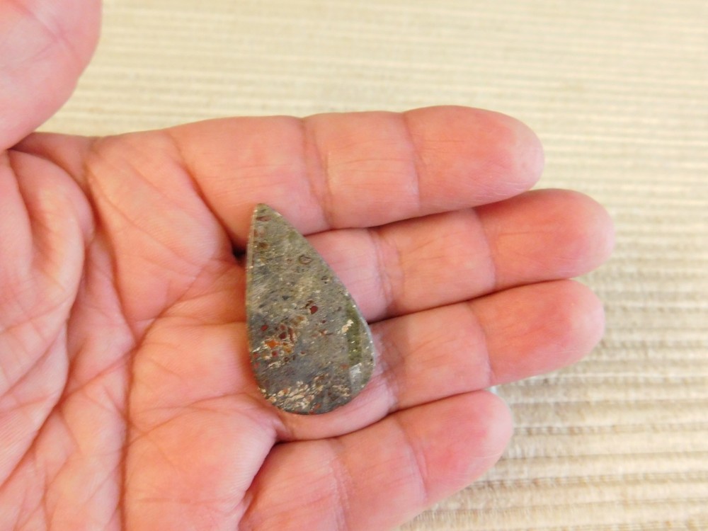 Dinosaur Bone Cabochons - 4 pcs