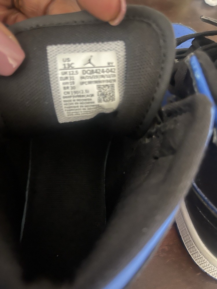 Air Jordan Dunks