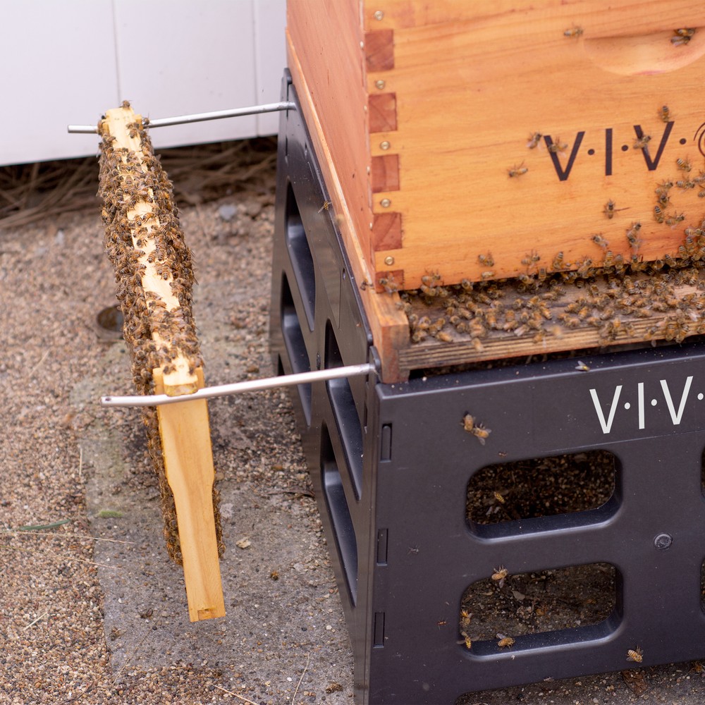 VIVO Black Plastic Bee Hive Stand | Beekeeping Hive Support Tool