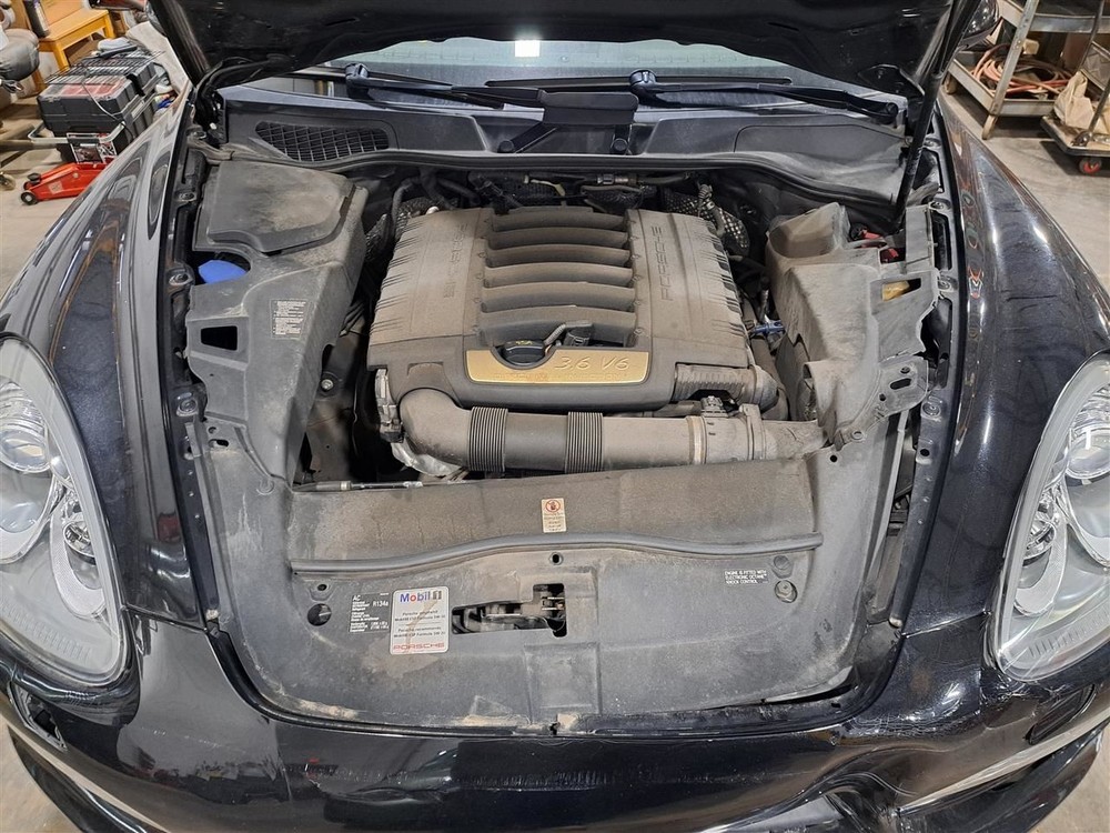 2011 Cayenne Jack Sku#4264807