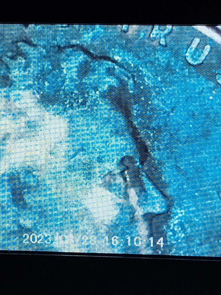 1954-D Lincoln Wheat Errors