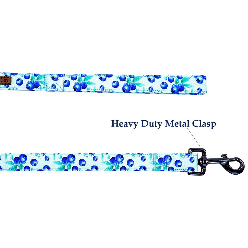 Strong Dog Leash Durable Soft Handle Walking Training Small Medium Blueberry