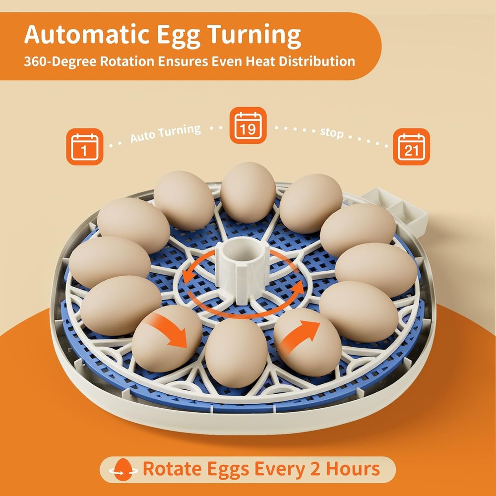 12 Egg Incubators for Hatching Eggs, Temperature and Humidity Control, Automatic