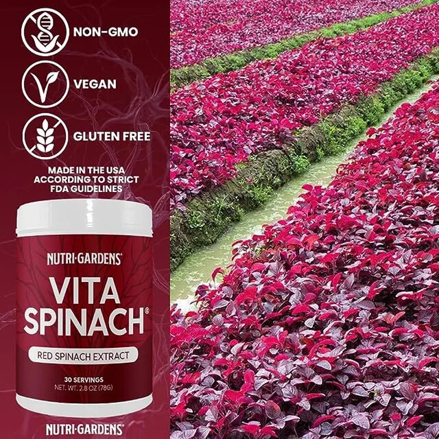 VITA SPINACH Red Spinach Extract