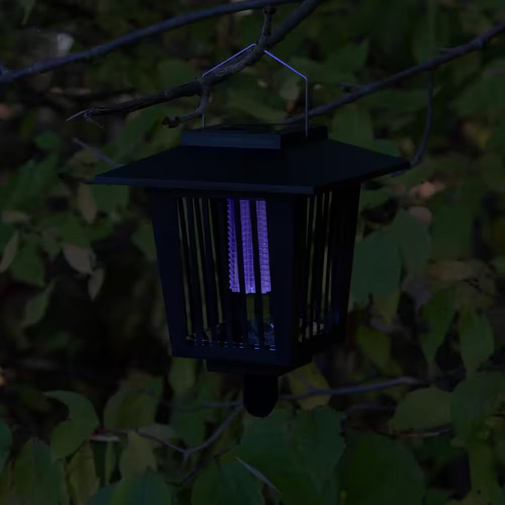 LED Light and Bug Zapper