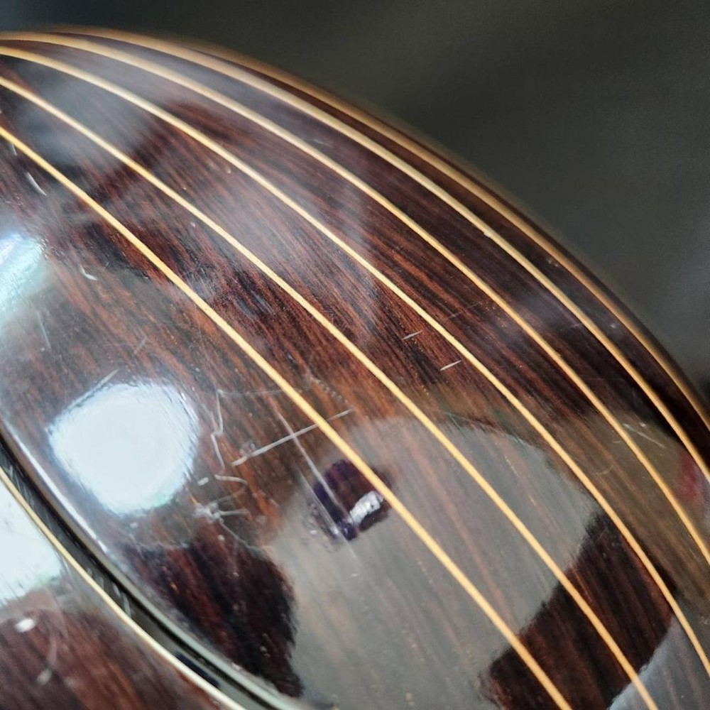 Suzuki violin mandolin M-218 with case