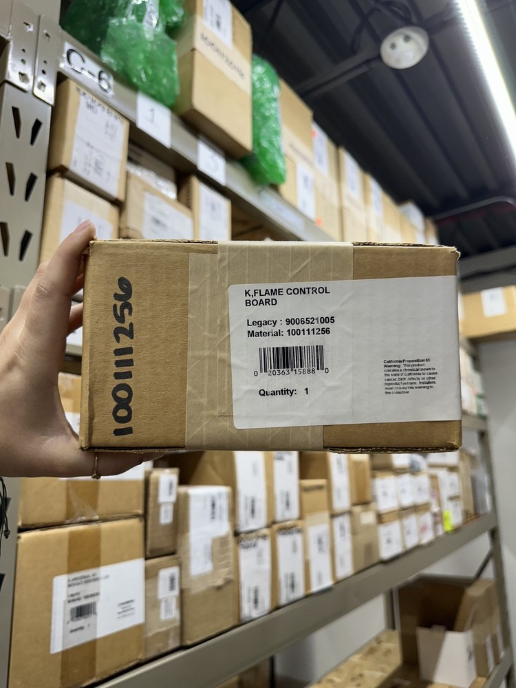 100111256 | 9006521005 | A.O. Smith Flame Control Board