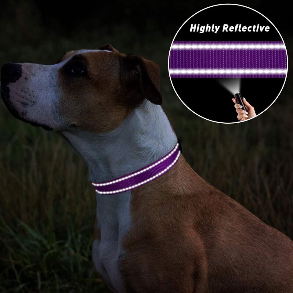 TagME Reflective Nylon Dog Collars, Adjustable Small + (Pack of 1), Purple