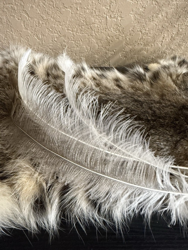 Rhea Feathers FREE SHIPPING