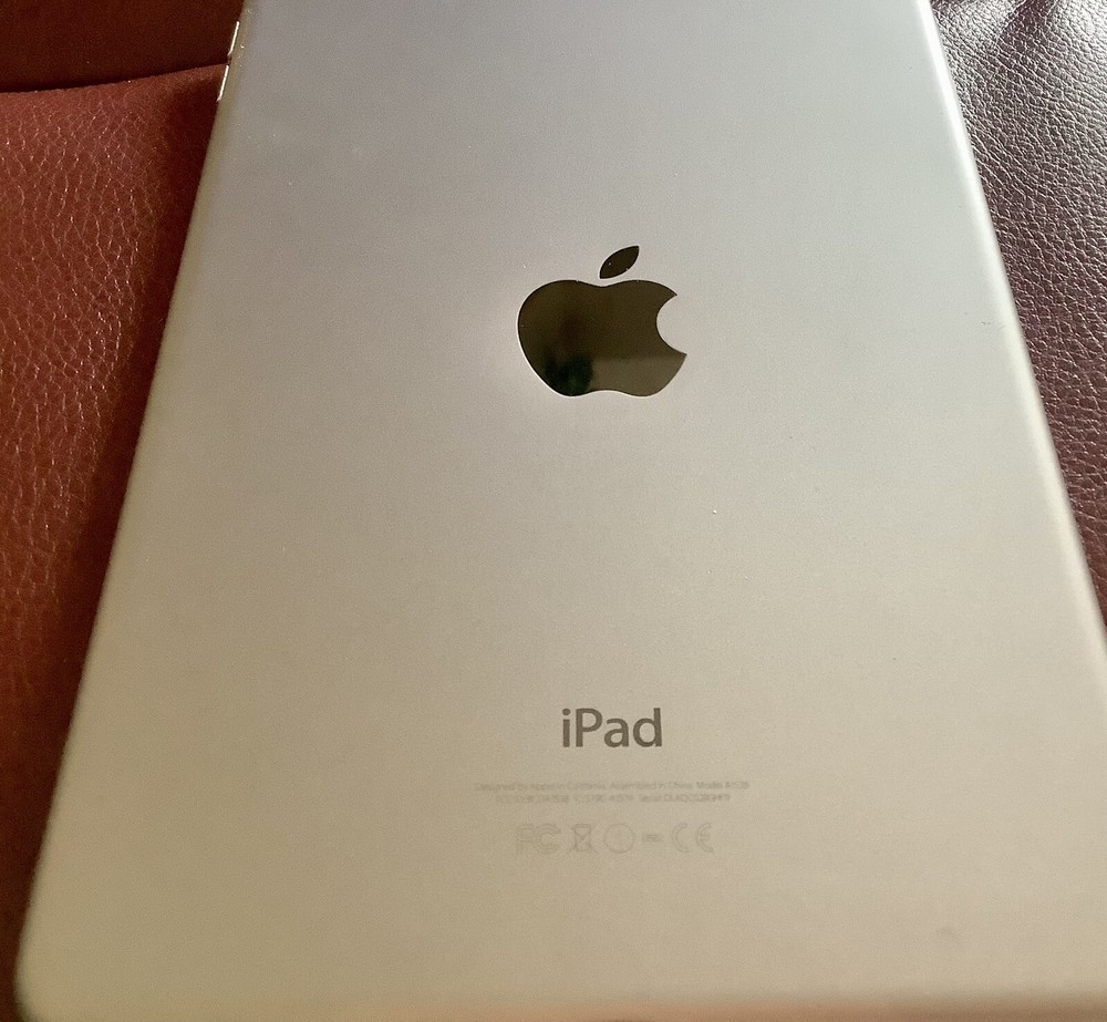 iPad Mini 4 16 GB, Exterior Excellent Condition, Battery Needs Replacing