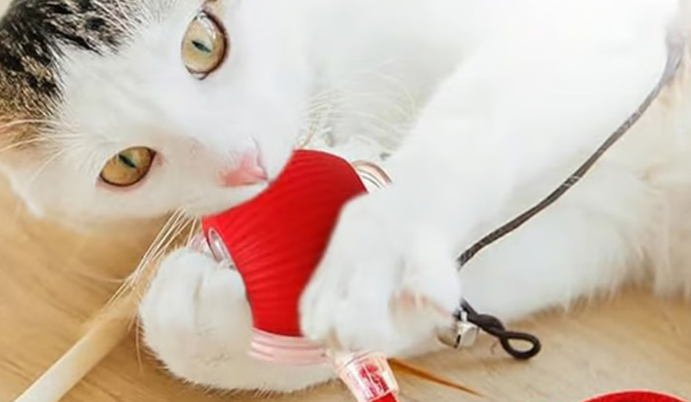 P02 Interactive Blinking LED Cat Toy Ball, Multi-Mode, Red