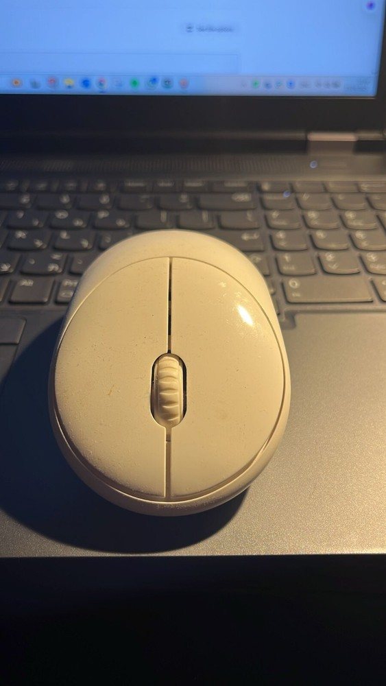 Wireless white mouse