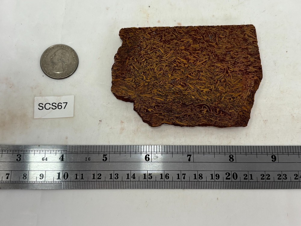 Script Stone Jasper Slab Cabbing Lapidary Collecting Combo Ship Avail