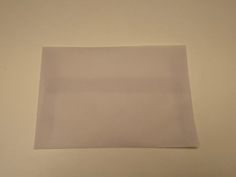 117 Vellum Translucent Envelopes 8 1/8”x5 1/2”