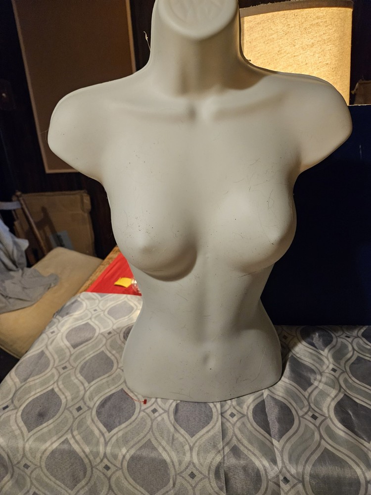 female hollow plastic bust model small to large