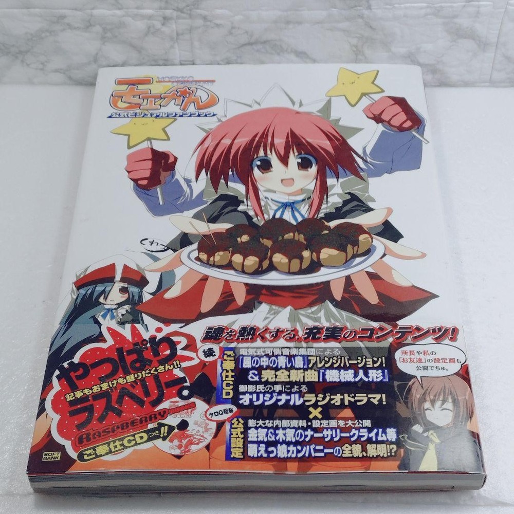 [Good condition] Moekan official visual fan book