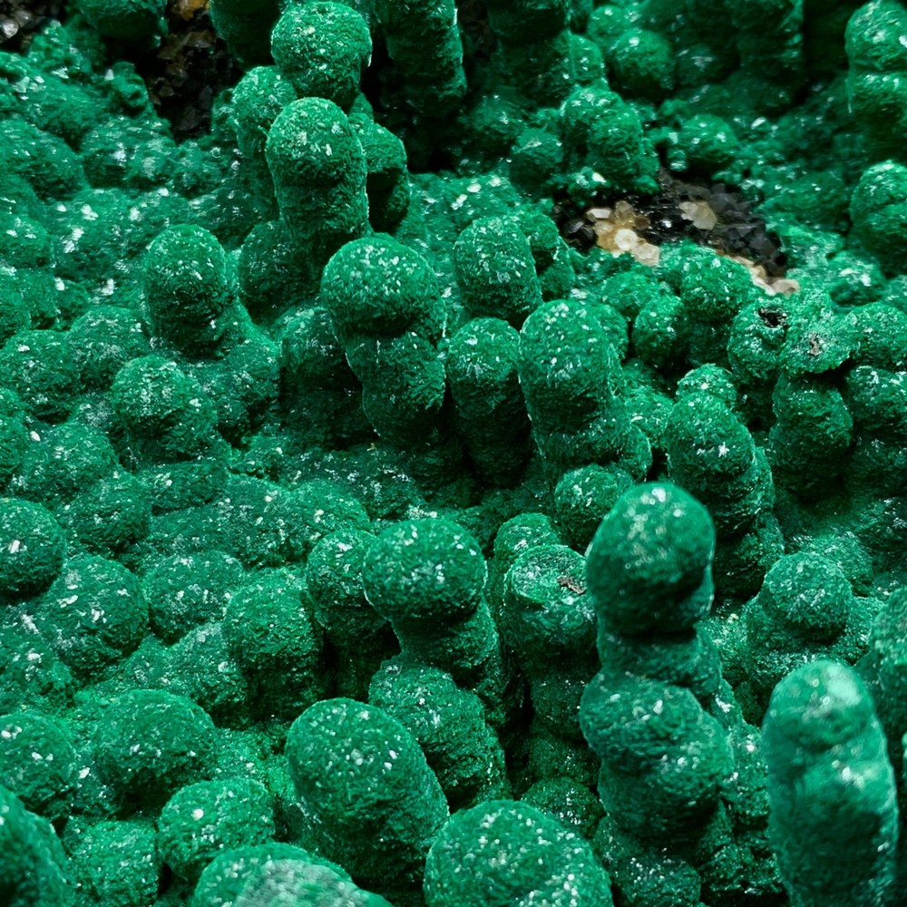 2.34LB Natural Malachite rysocolla transparent cluster rough mineral Sample