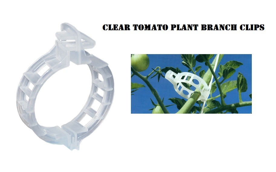 Twine Plant Branch Clips Mega 25mm Clear, Variation List ## SAVE $$ W/ BAY HYDRO