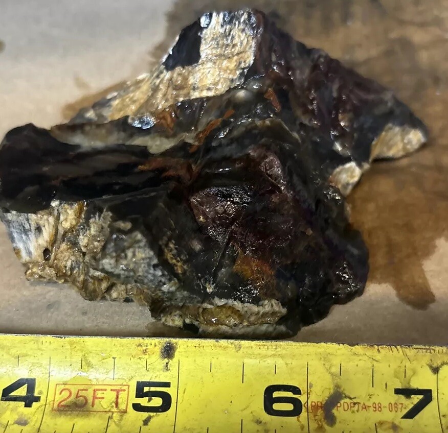 Silver Creek Junction Petrified Wood