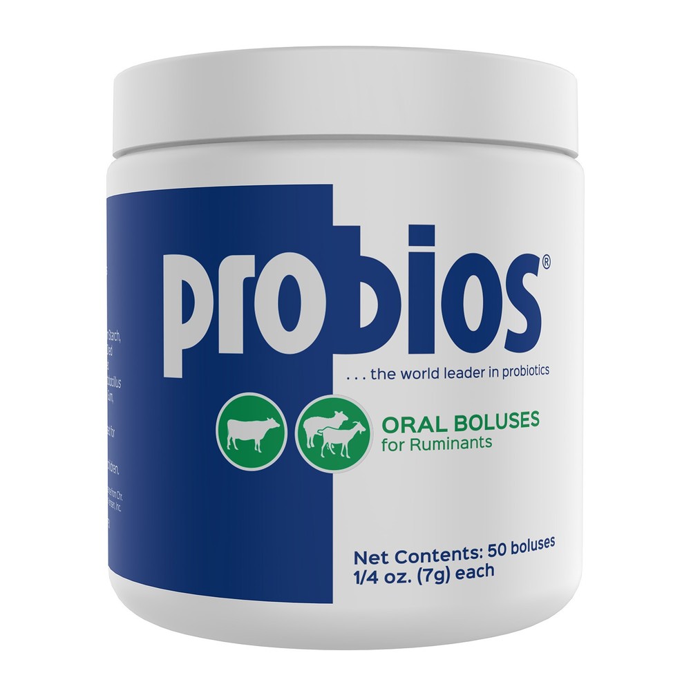 Probios Bolus 1/4oz (50)