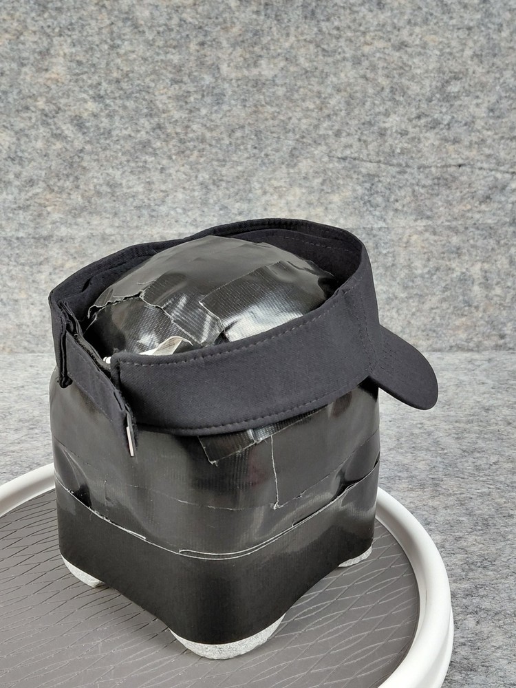 Nike Dry Fit Visor Black With Red/white Paw Strapback Hooknloop