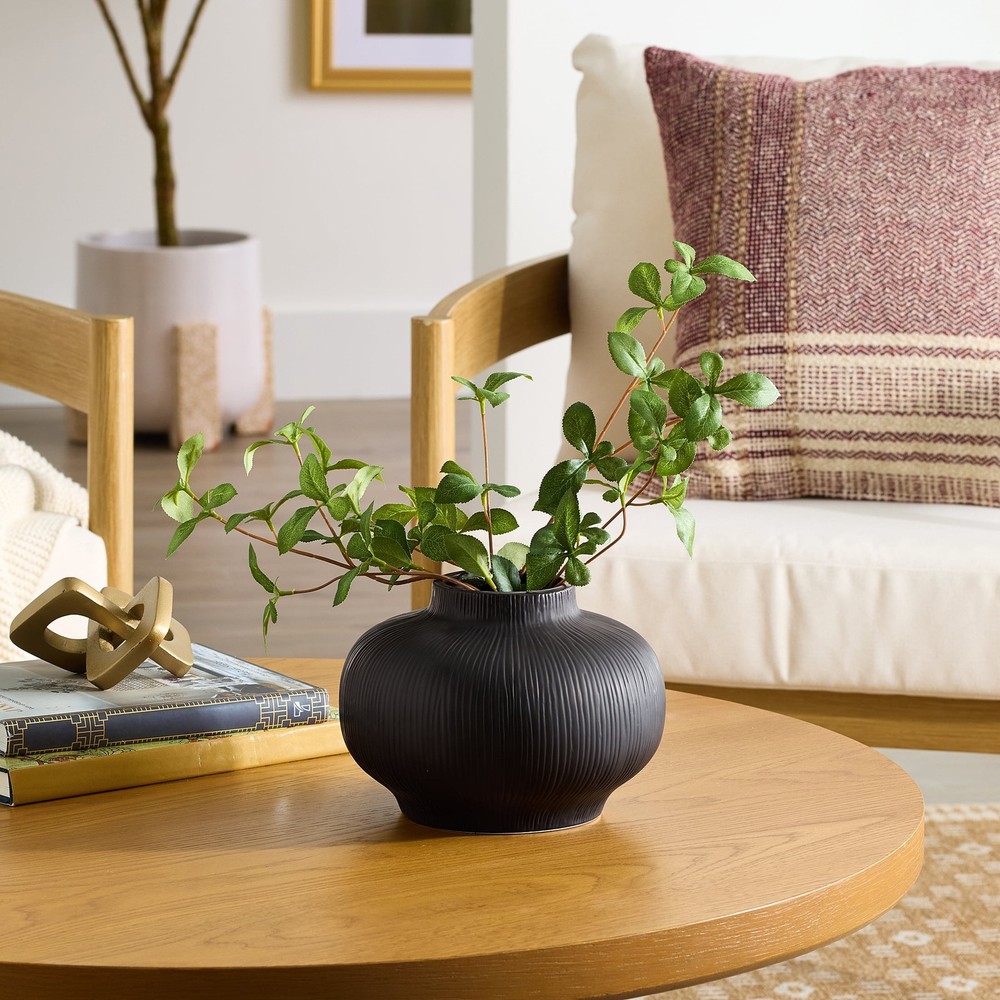 Soft Curve Black Ceramic Decorative Vase 6