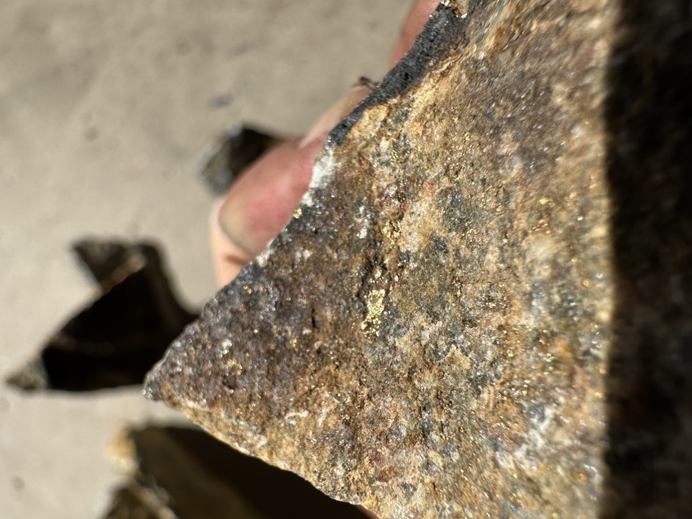 GOLD ORE SAMPLE SPECIMENS 5.0 lbs