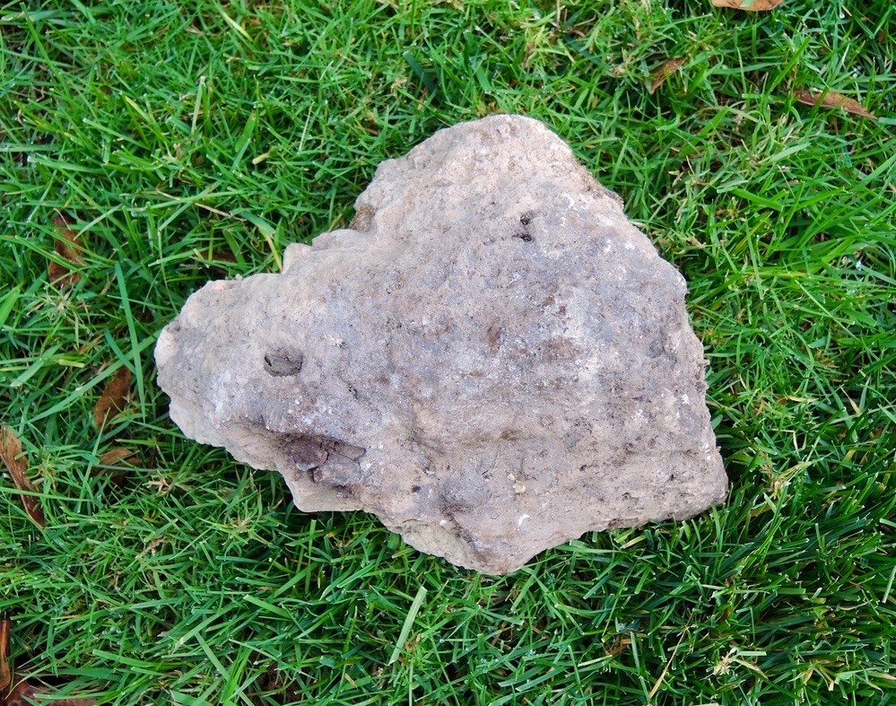 Medium Pumice Stone Volcanic Rock