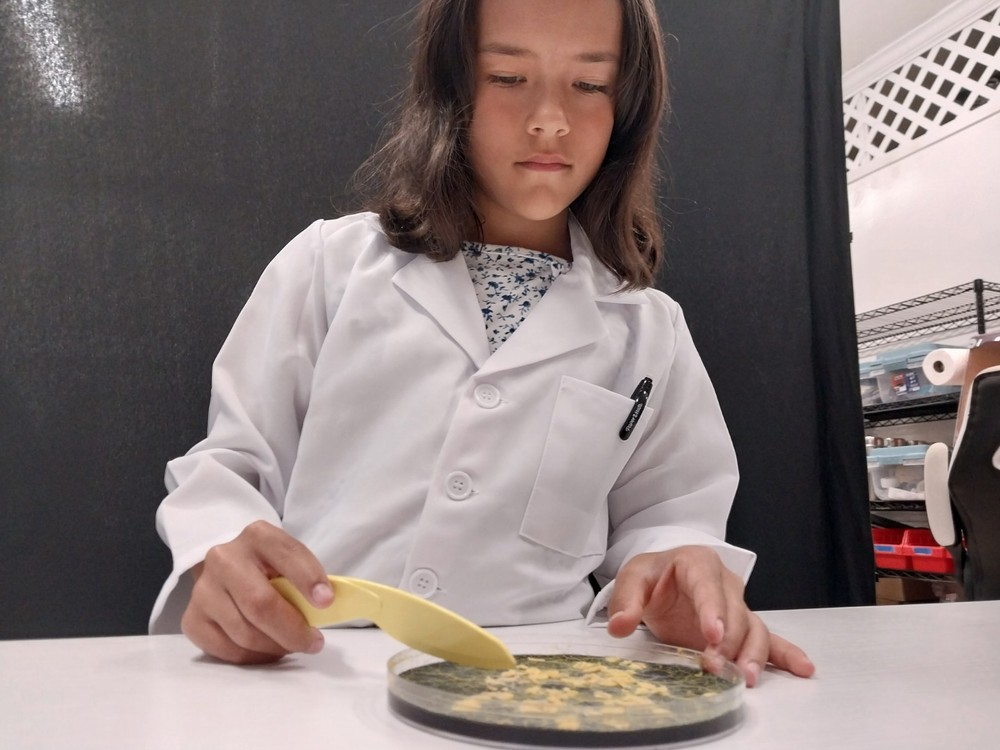 Slime Mold Educational Science Kit, Physarum polycephalum Study Project