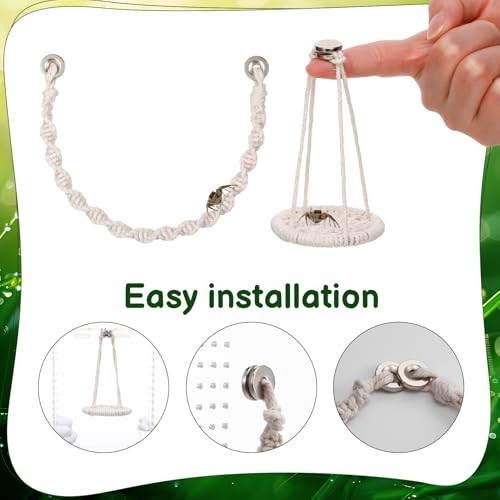 Jumping Spider Enclosure Accessories Kit 5 PCS – Include Cloud Platforms with