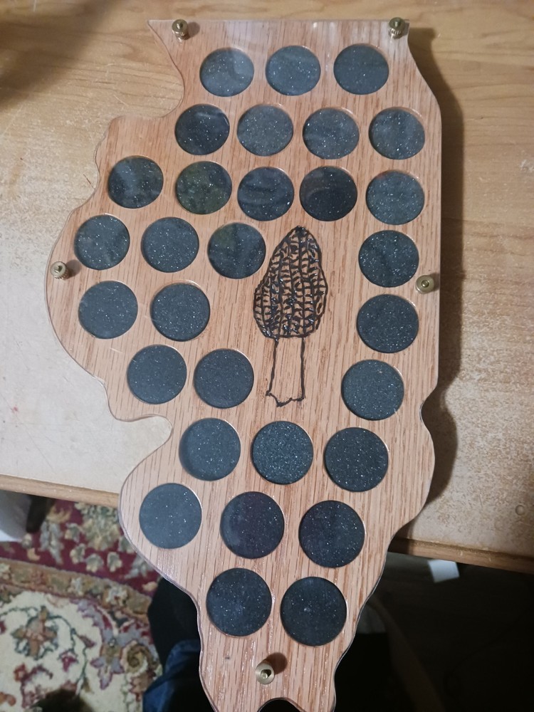 Illinois  Mushroom  Pin  Holder