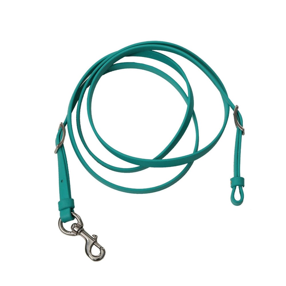 BioThane Roper Reins - Teal