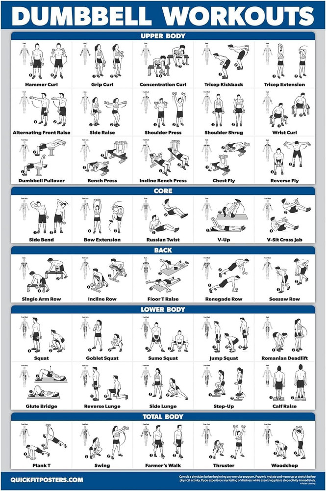 Dumbbell Workout Poster 18"x24" – Laminated Exercise Chart