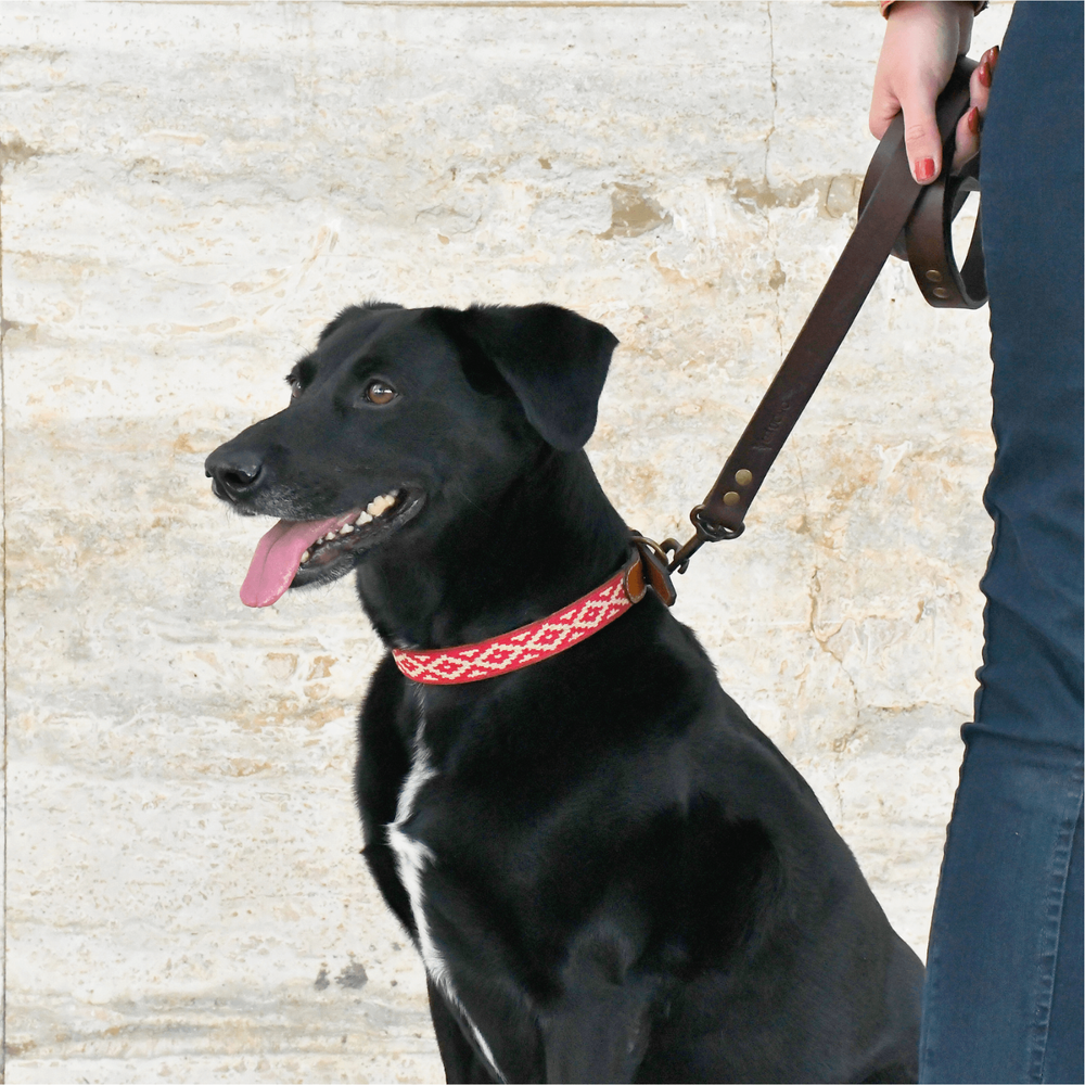 Genuine Leather Dog Collar Adjustable Necklace
