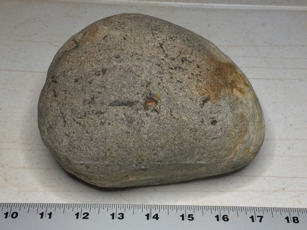 Large dinosaur armor plate - RARE