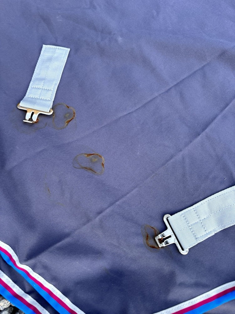 Rambo Show Sheet Set - Size Small - 60”-65”