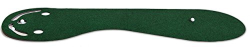Par Three Golf Putting Green (3' x 9') Plus,