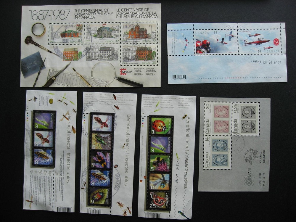 Canada colossal mixture (duplicates,mixed cond) 1000 +SS 35% comems ,65% defins