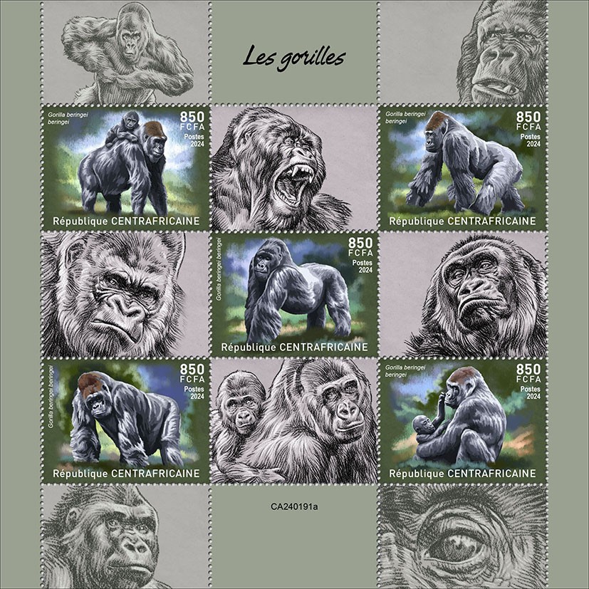 Gorillas
