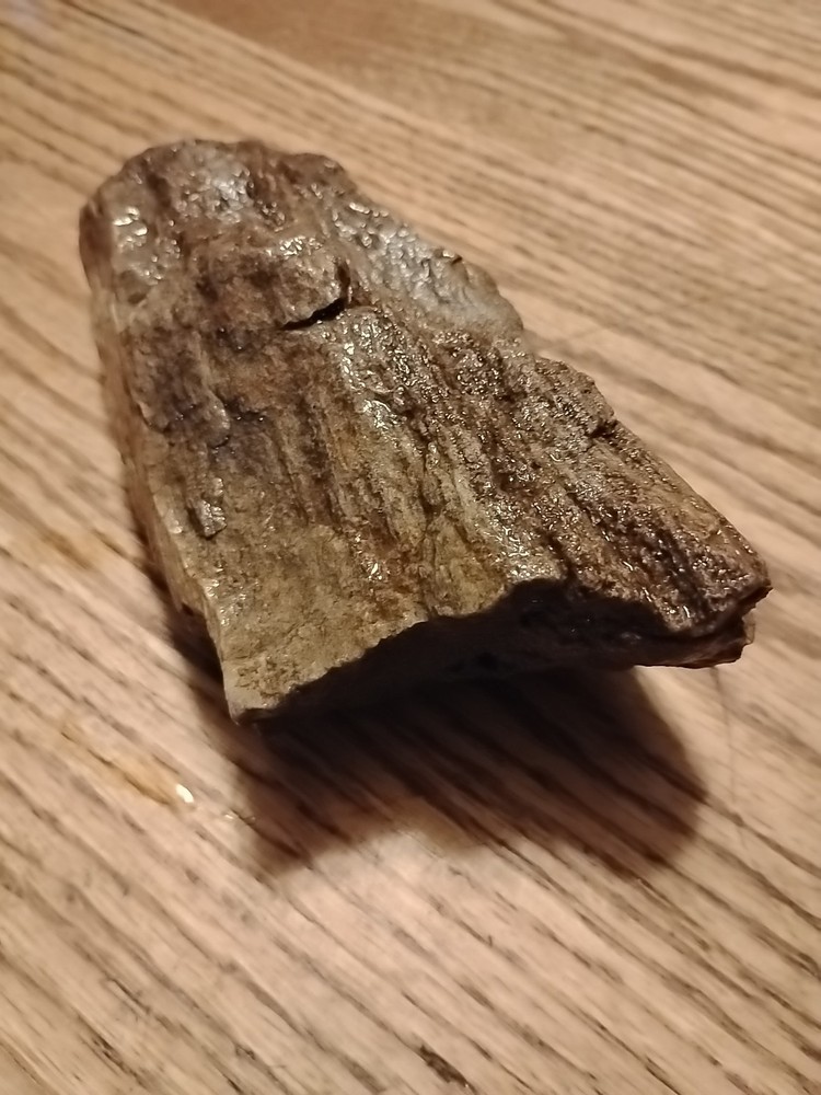 Petrified Wood 738g (Outer Bark)
