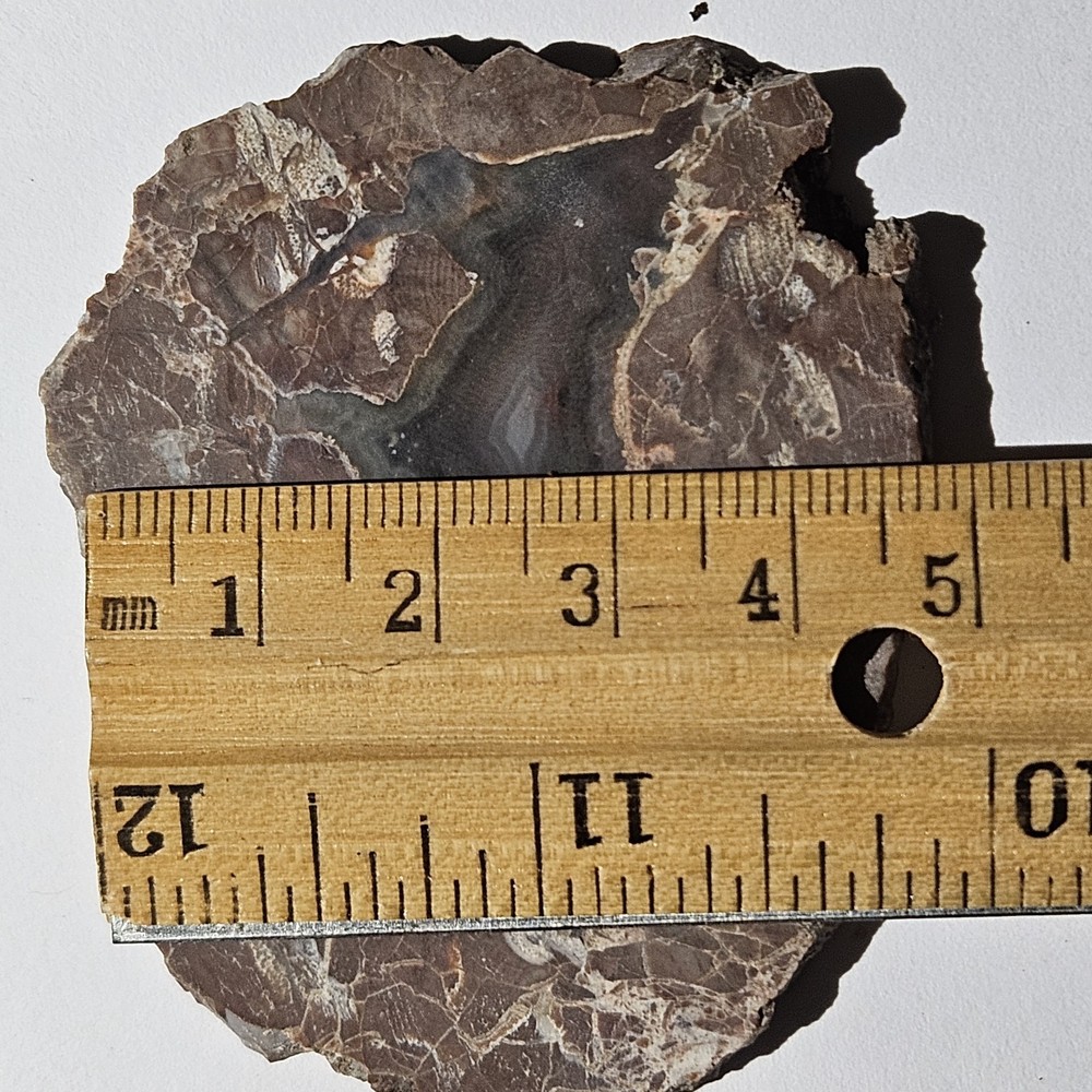 Agate Lapidary Slab 30 Grams Baker Area