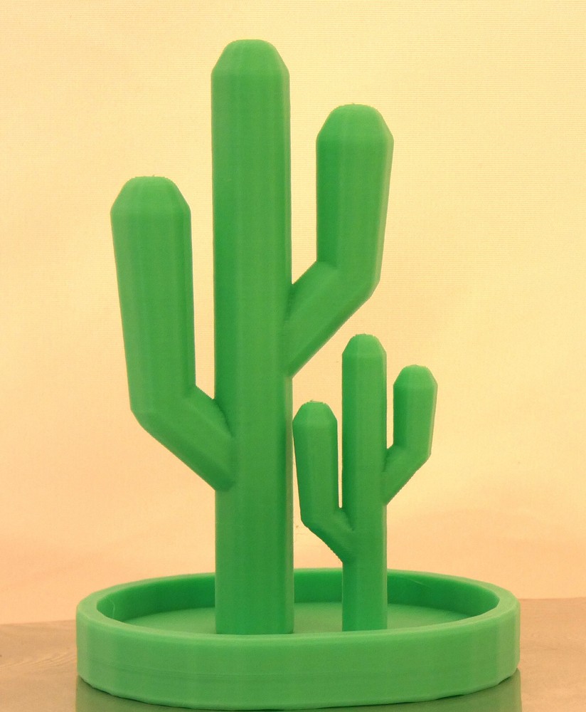 Cactus Display Decor Rack Stand Dish Height 4" to 8" Desktop Table
