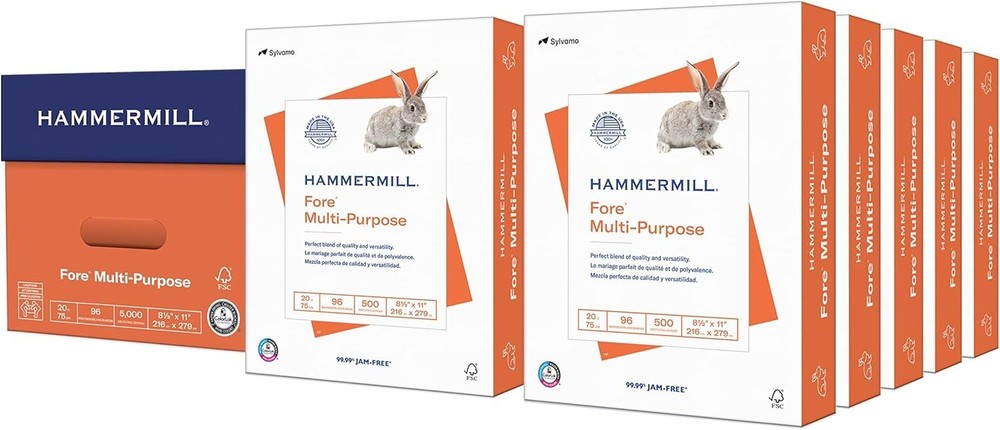 Fore Multipurpose Copy Paper - 10 Ream, 5000 Sheets