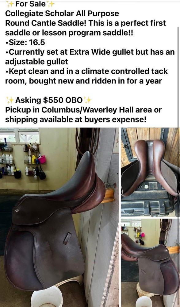 Collegiate Saddle 16.5”