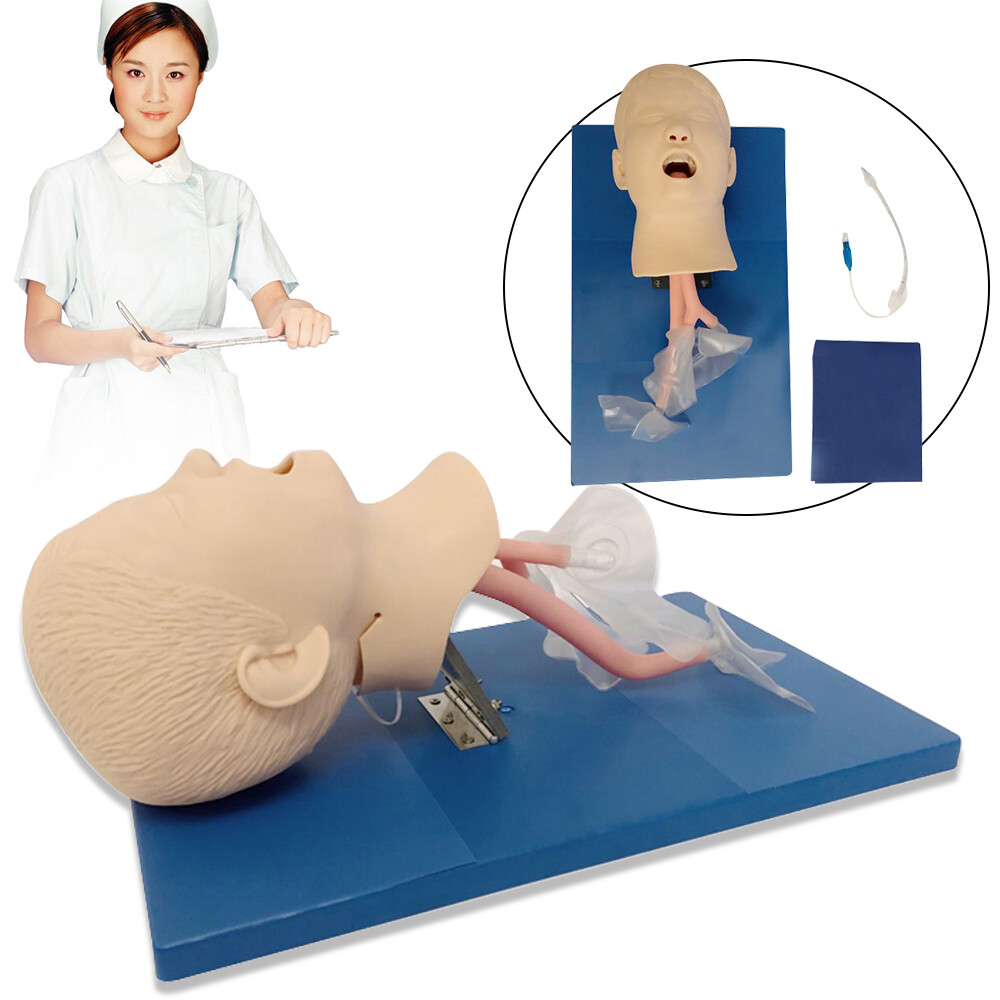 Intubation Manikin Study Teaching Training Model Airway Management Trainer Model